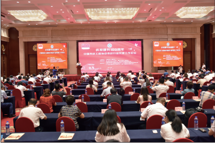 秋霞鲁丝片Av无码少妇