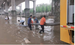 秋霞鲁丝片Av无码少妇