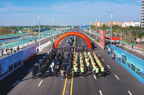 秋霞鲁丝片Av无码少妇