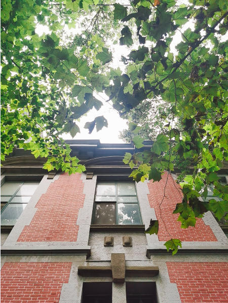 秋霞鲁丝片Av无码少妇