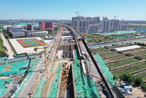 秋霞鲁丝片Av无码少妇