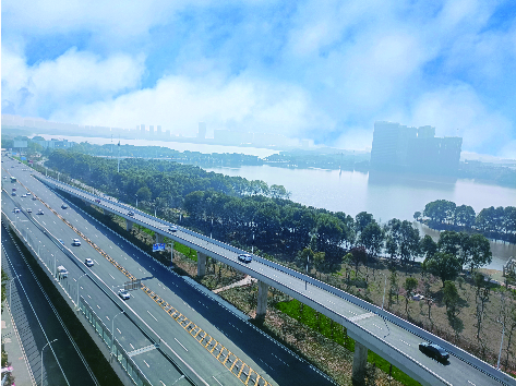 秋霞鲁丝片Av无码少妇