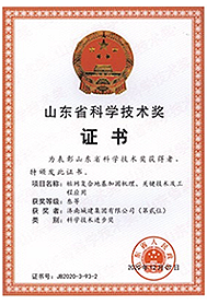 秋霞鲁丝片Av无码少妇