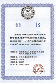 秋霞鲁丝片Av无码少妇