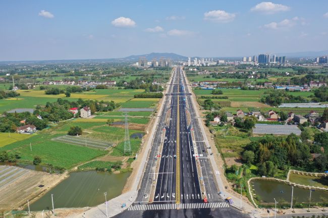 秋霞鲁丝片Av无码少妇