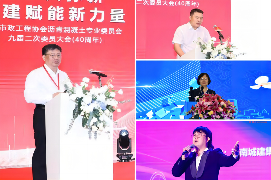 秋霞鲁丝片Av无码少妇