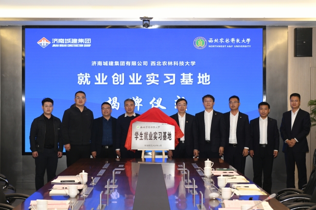 秋霞鲁丝片Av无码少妇