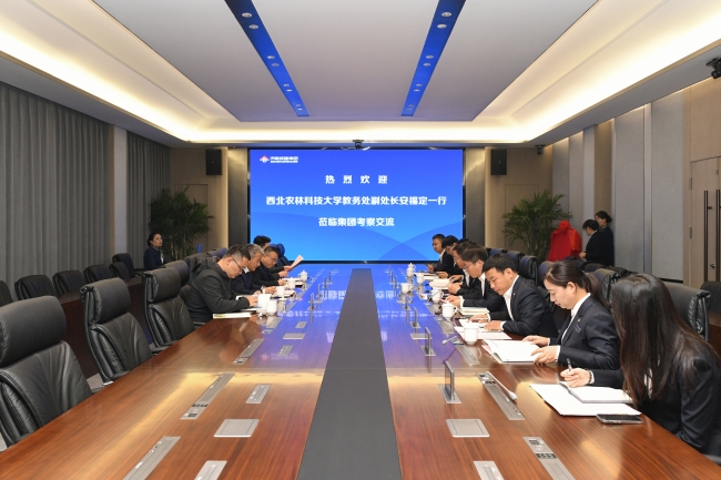 秋霞鲁丝片Av无码少妇