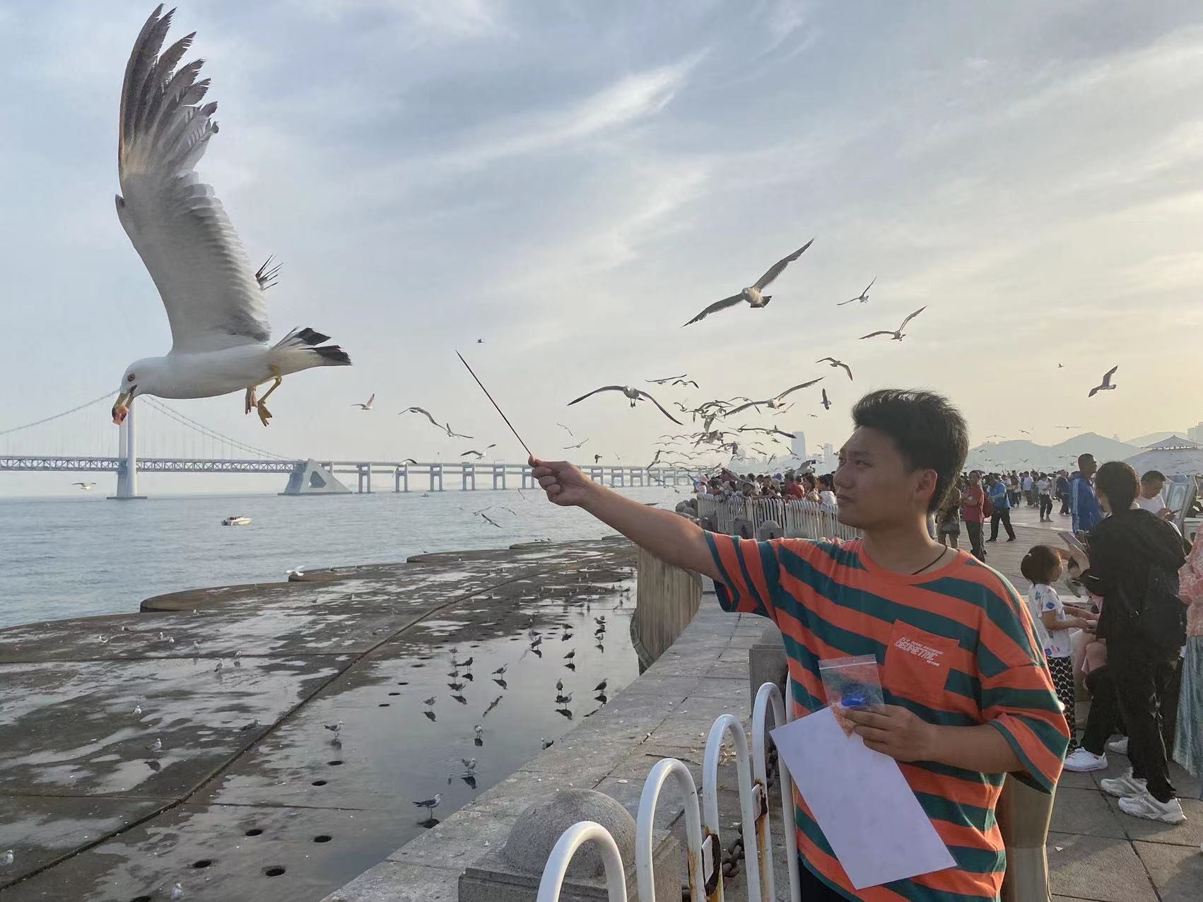 秋霞鲁丝片Av无码少妇