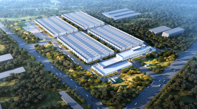 秋霞鲁丝片Av无码少妇