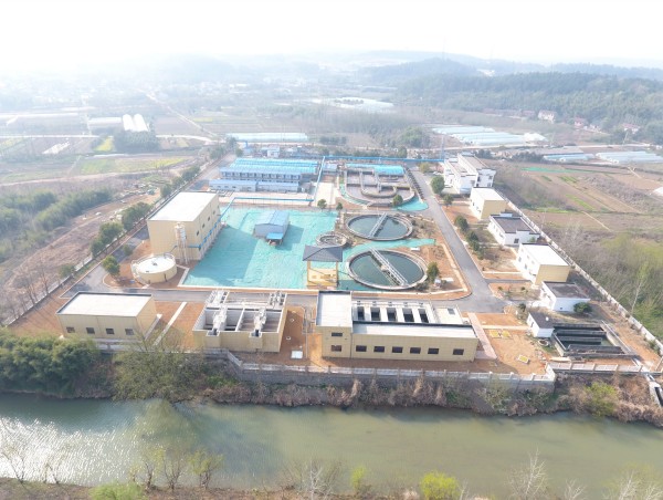 秋霞鲁丝片Av无码少妇