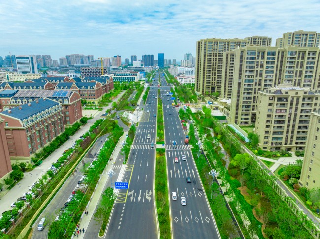 秋霞鲁丝片Av无码少妇