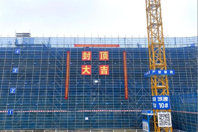 秋霞鲁丝片Av无码少妇