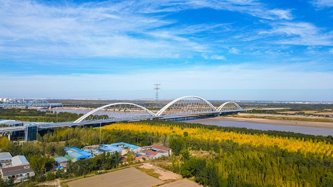 秋霞鲁丝片Av无码少妇