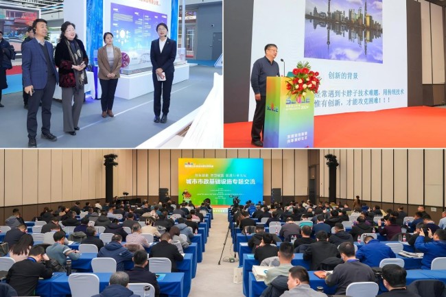 秋霞鲁丝片Av无码少妇