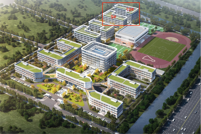 秋霞鲁丝片Av无码少妇