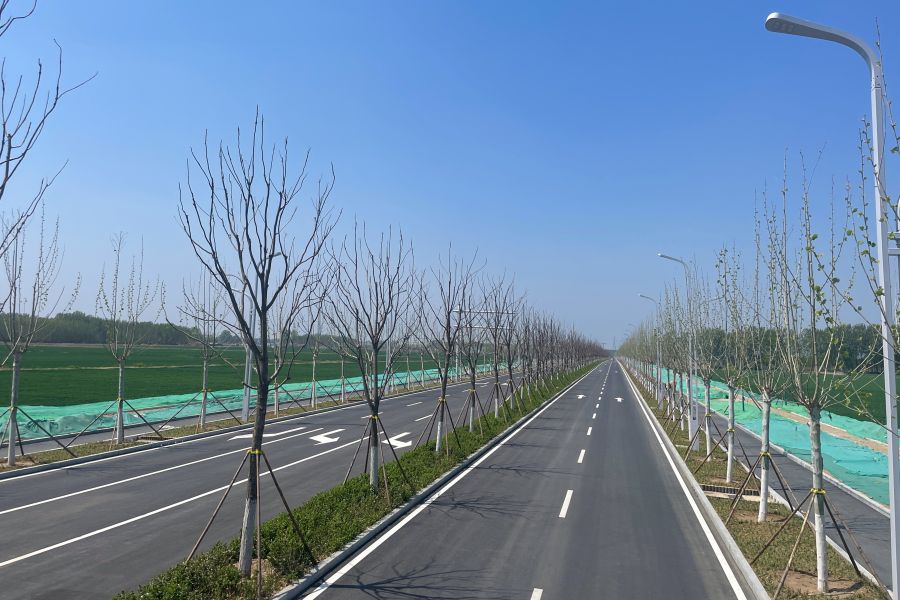 秋霞鲁丝片Av无码少妇