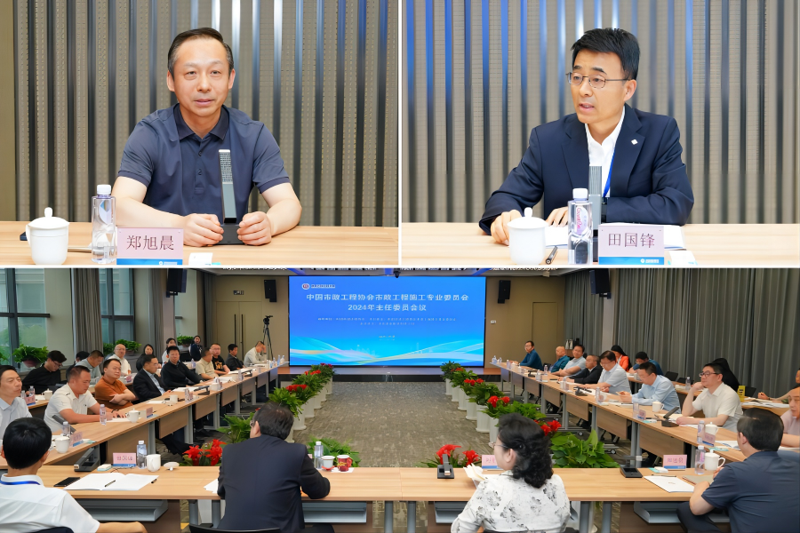 秋霞鲁丝片Av无码少妇