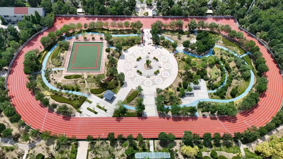 秋霞鲁丝片Av无码少妇