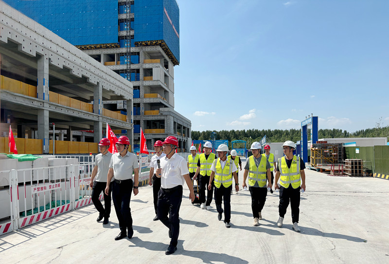 秋霞鲁丝片Av无码少妇