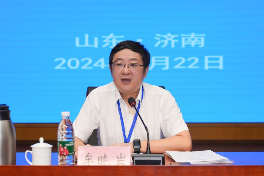 秋霞鲁丝片Av无码少妇