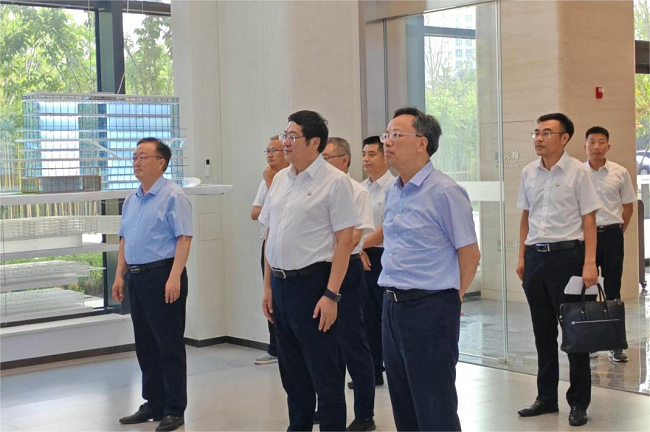 秋霞鲁丝片Av无码少妇