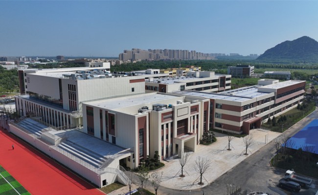 秋霞鲁丝片Av无码少妇