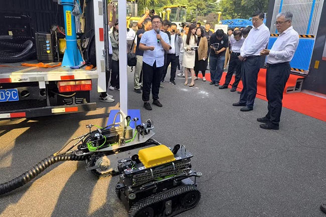 秋霞鲁丝片Av无码少妇