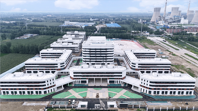 秋霞鲁丝片Av无码少妇