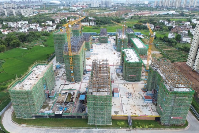 秋霞鲁丝片Av无码少妇