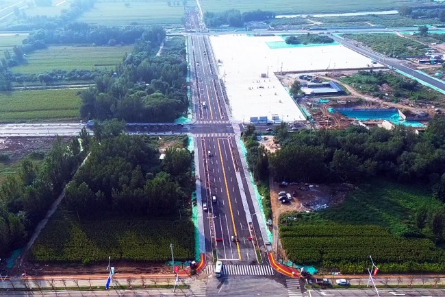 秋霞鲁丝片Av无码少妇