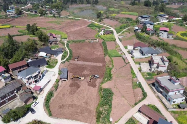 秋霞鲁丝片Av无码少妇