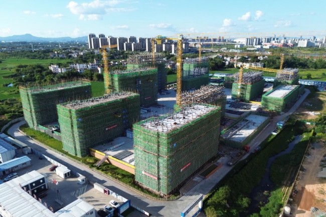 秋霞鲁丝片Av无码少妇