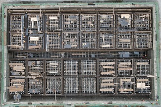 秋霞鲁丝片Av无码少妇