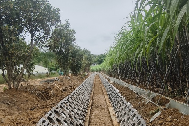 秋霞鲁丝片Av无码少妇