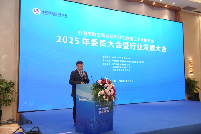 秋霞鲁丝片Av无码少妇