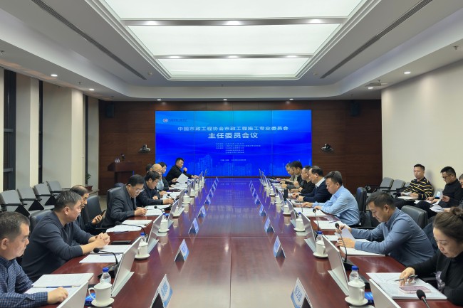 秋霞鲁丝片Av无码少妇