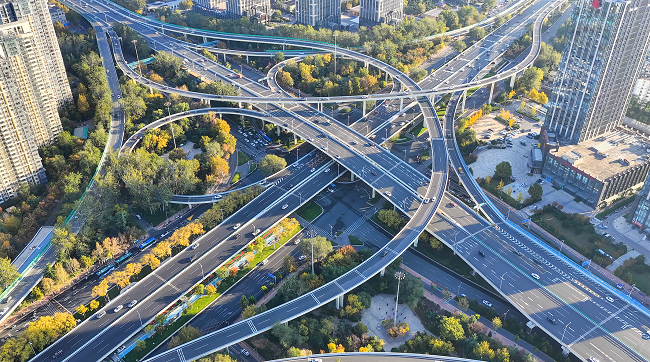 秋霞鲁丝片Av无码少妇