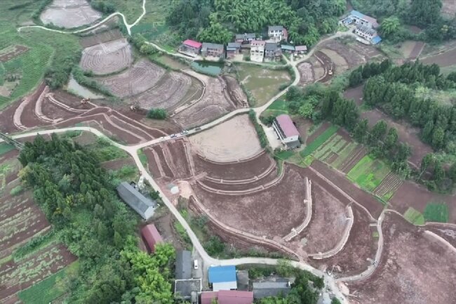 秋霞鲁丝片Av无码少妇