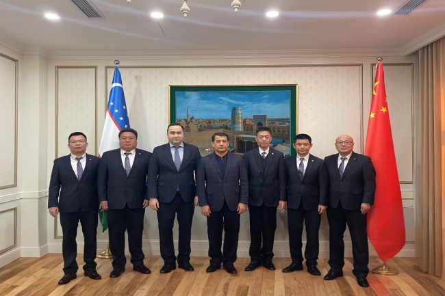 秋霞鲁丝片Av无码少妇