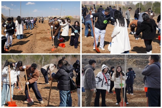 秋霞鲁丝片Av无码少妇