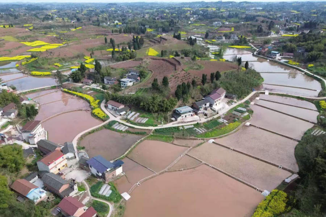 秋霞鲁丝片Av无码少妇