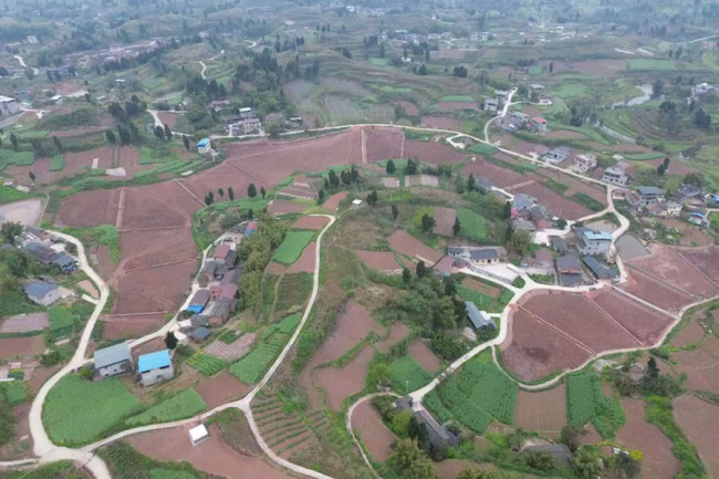 秋霞鲁丝片Av无码少妇