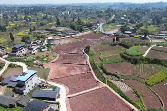 秋霞鲁丝片Av无码少妇