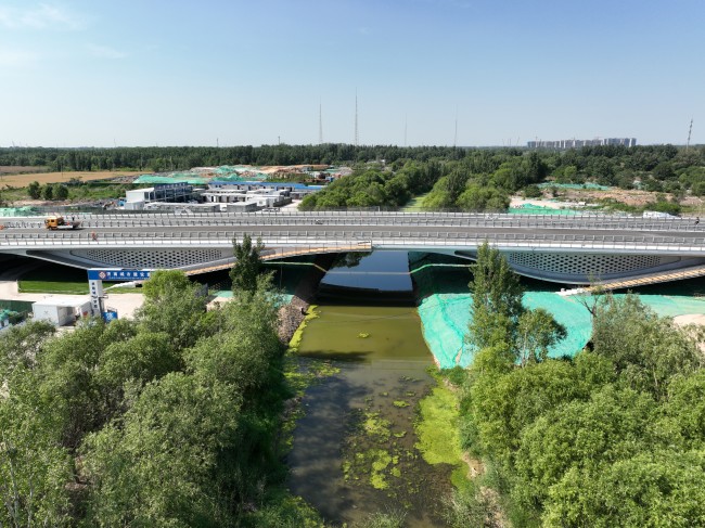 秋霞鲁丝片Av无码少妇