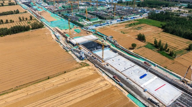 秋霞鲁丝片Av无码少妇