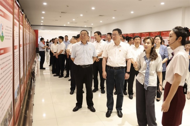 秋霞鲁丝片Av无码少妇