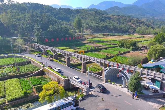 秋霞鲁丝片Av无码少妇