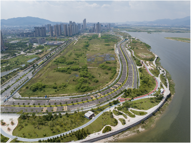 秋霞鲁丝片Av无码少妇