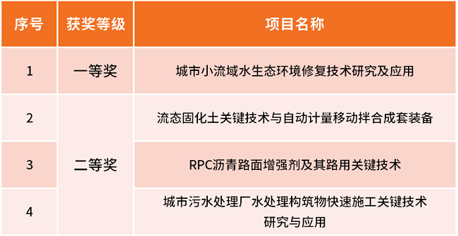 秋霞鲁丝片Av无码少妇